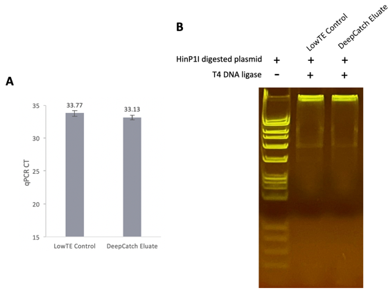 Figure 5 Enzymatic Compatibility