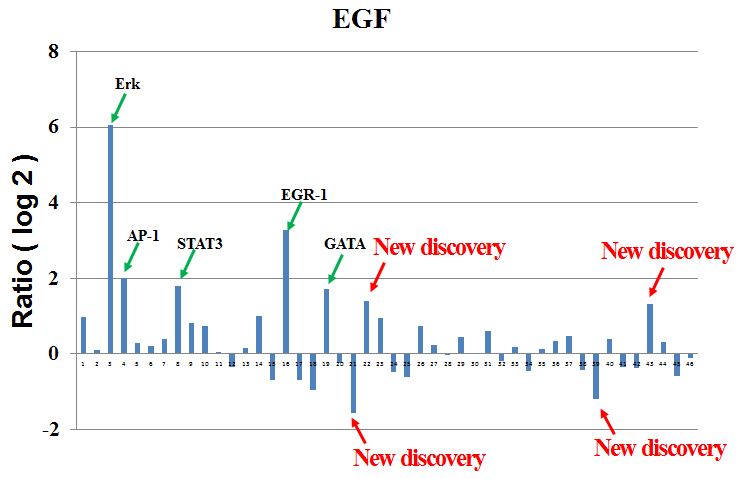 Figure 1 Data