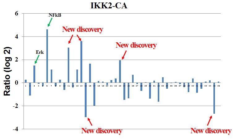 Figure 2 Data