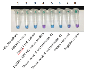 Figure 4: Real-world sample testing