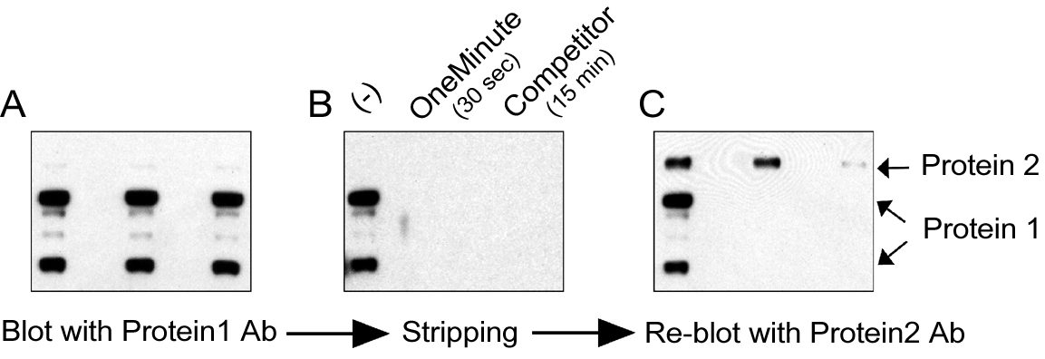 Figure 1 Data