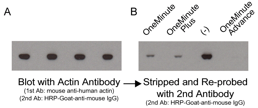 Figure 10 Data