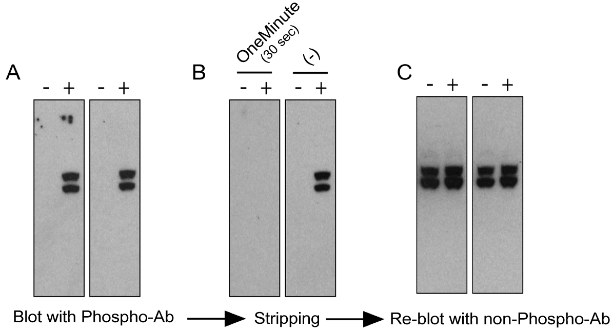 Figure 7 Data