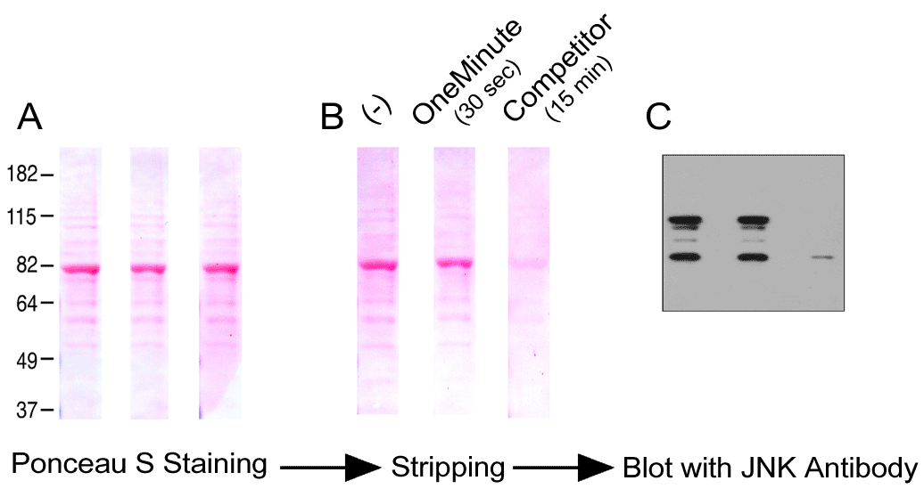 Figure 5 Data