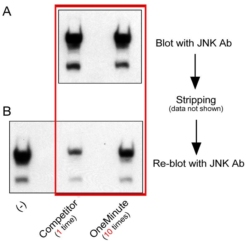 Figure 6 Data