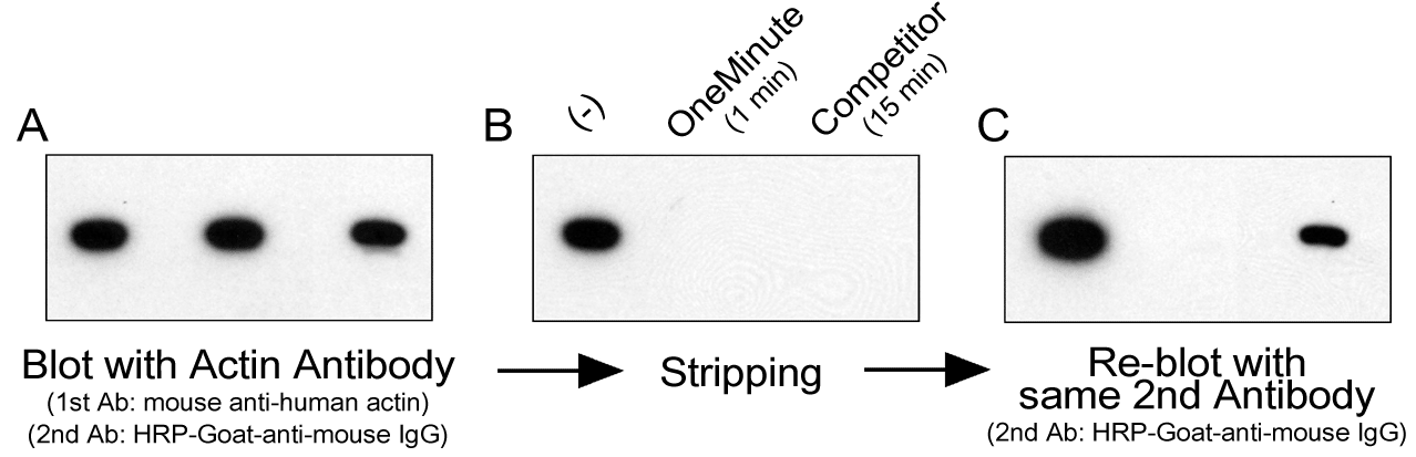 Figure 3 Data
