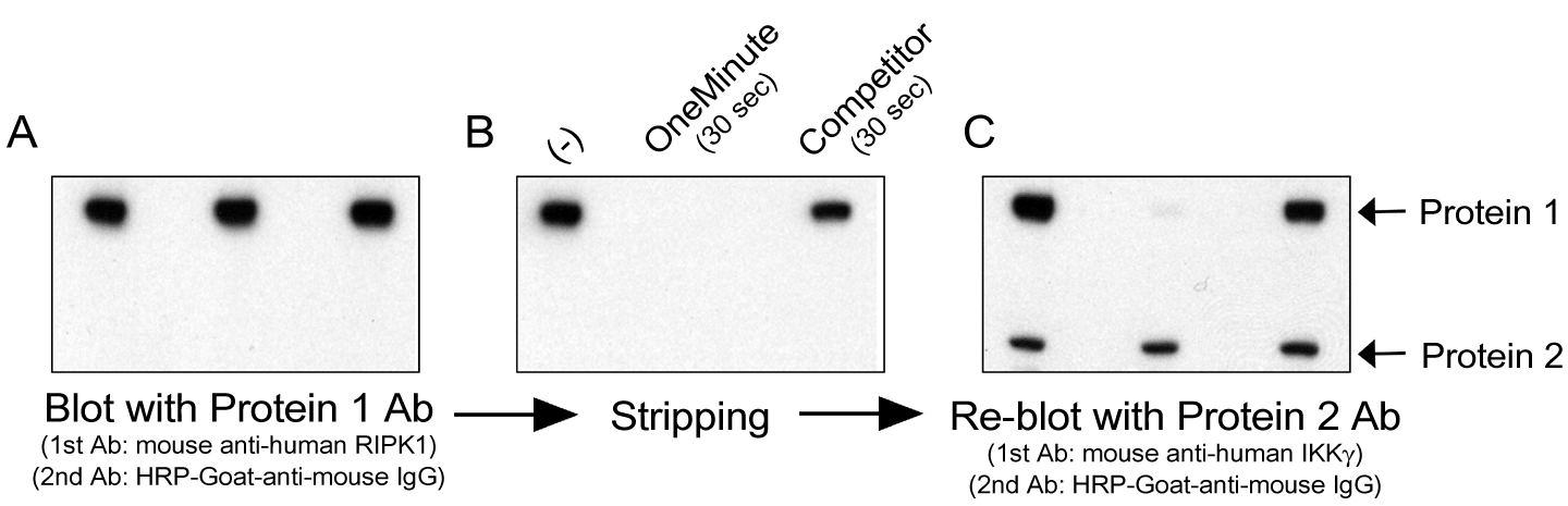 Figure 4 Data