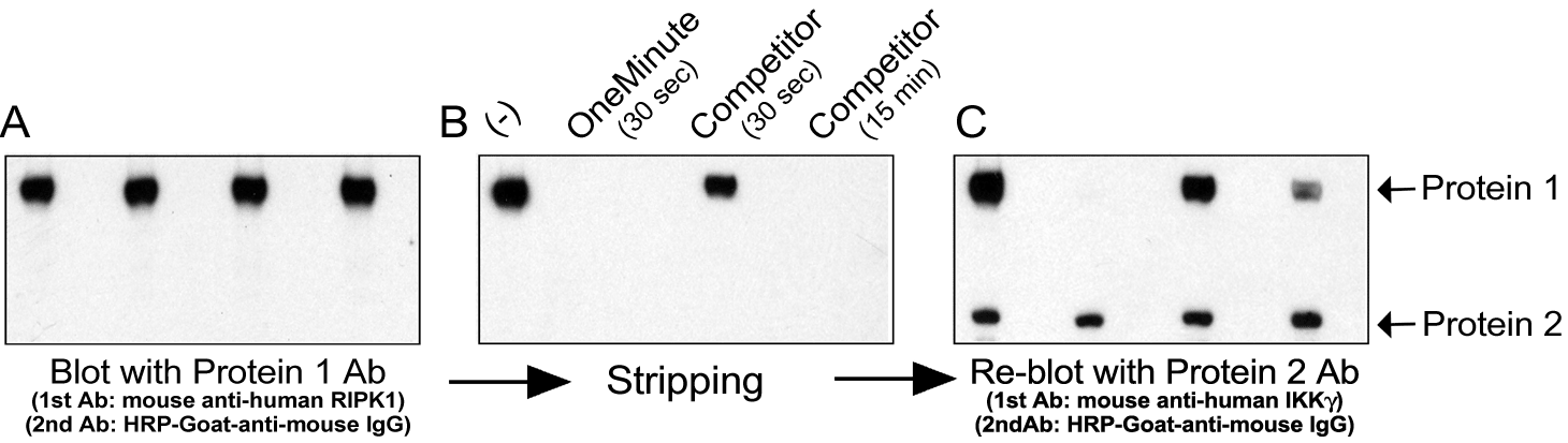 Figure 2 Data