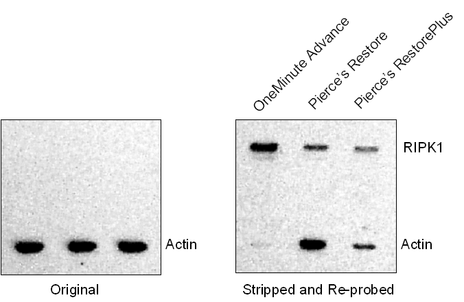 Figure 8 Data