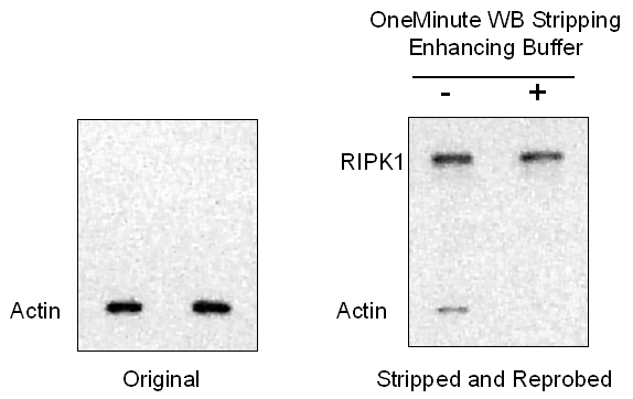 Figure 9 Data