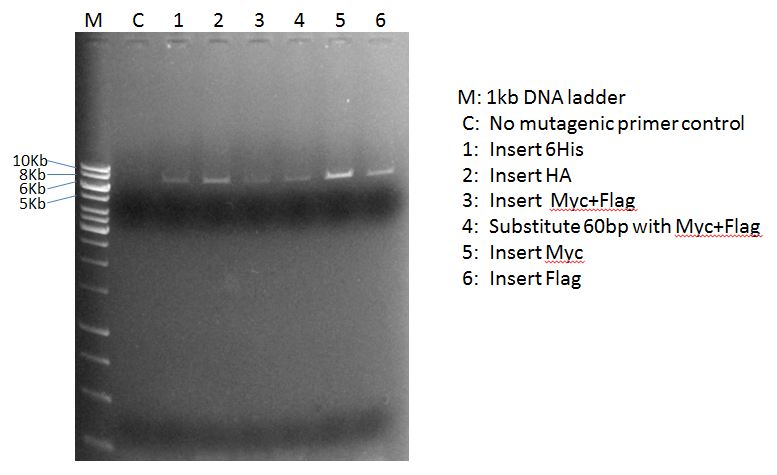 Figure 2 Data